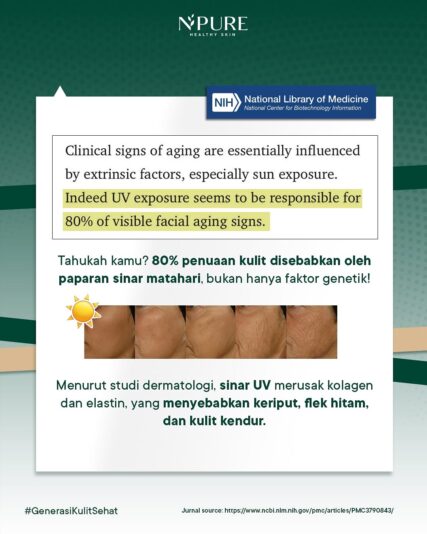 NPURE CICA BEAT THE SUN (5)