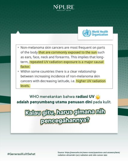 NPURE CICA BEAT THE SUN (4)