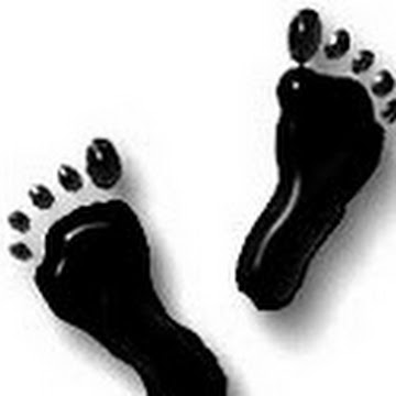 Profile photo of andri.tri wibowo