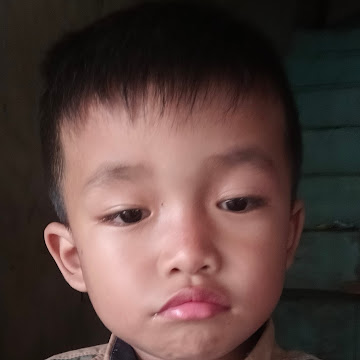 Profile photo of Johan yesanto widyatmiko