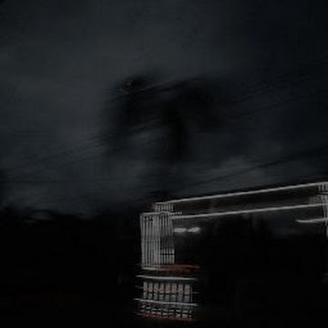 Profile photo of Erviana Tri Rahayu